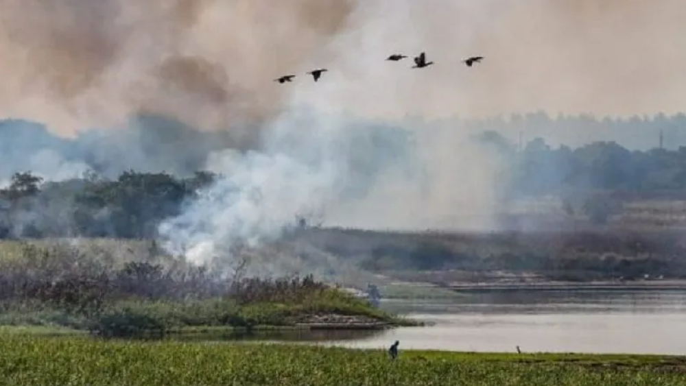 Captura de pantalla 2024-11-13 100819.png