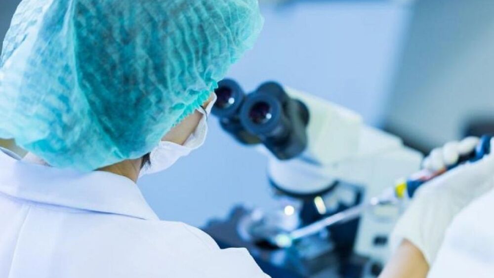 investigadores chinos.jpg