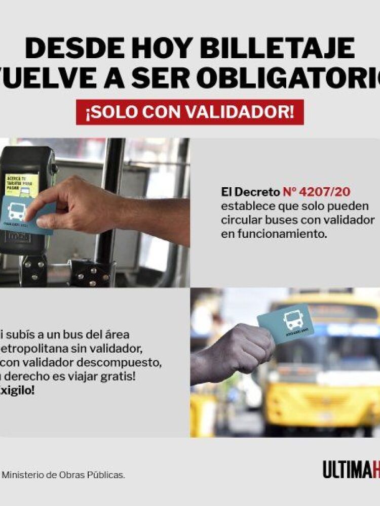 5226853-Mediano-2069397853_embed
