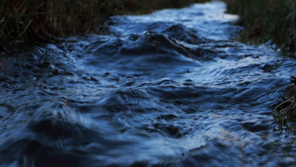 Tasa de descomposición en los ríos se acelera y puede agravar la crisis climática Tasa de descomposición en los ríos se acelera y puede agravar la crisis climática