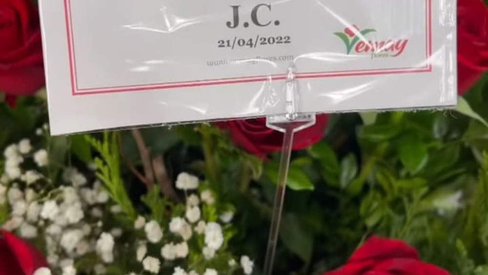 5293353-Libre-1862770086_embed