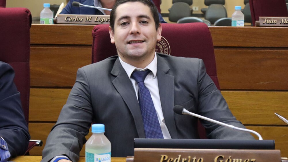Pedro Gómez diputado.jpg