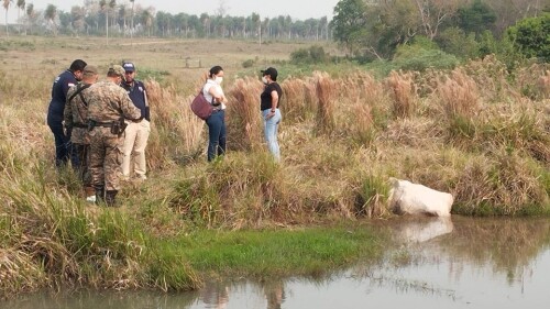 Hallazgo de cuerpo en Arroyito