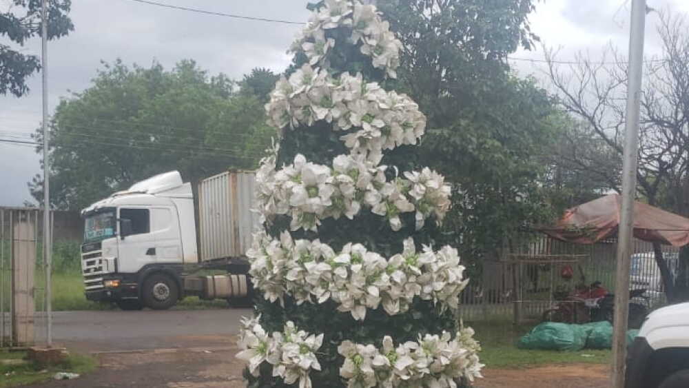 Árbol navideño en Acahay