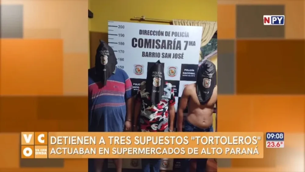 tortoleros.webp