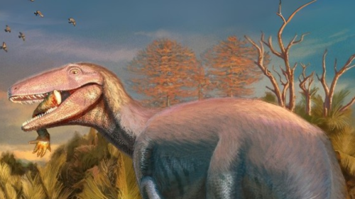 nueva especie dinosaurio carnivoro en Argentina