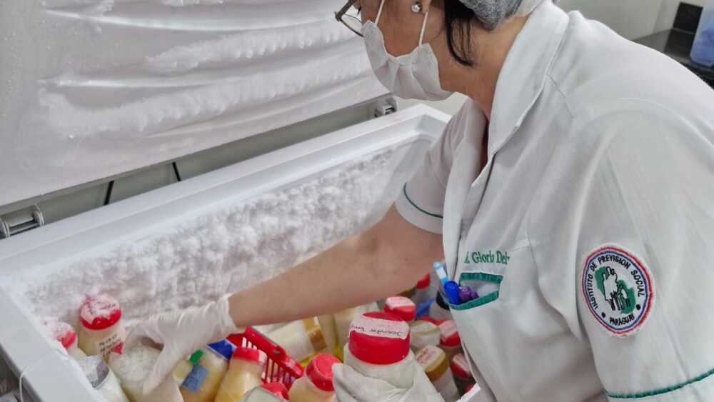 En seis meses, 238 bebés prematuros recibieron alimentación con  leche de Banco pasteurizada en el Hospital Central