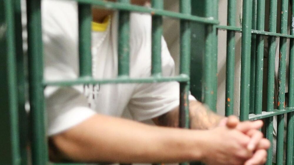 WhatsApp Image 2023-05-03 at 16.40.06 (1).jpeg