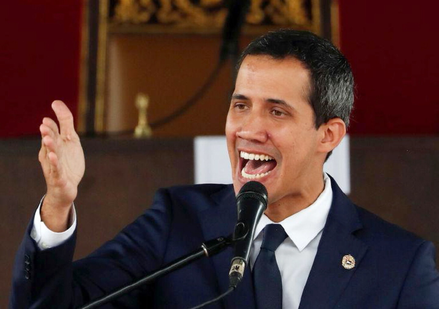Juan Guaidó. El opositor.jpg