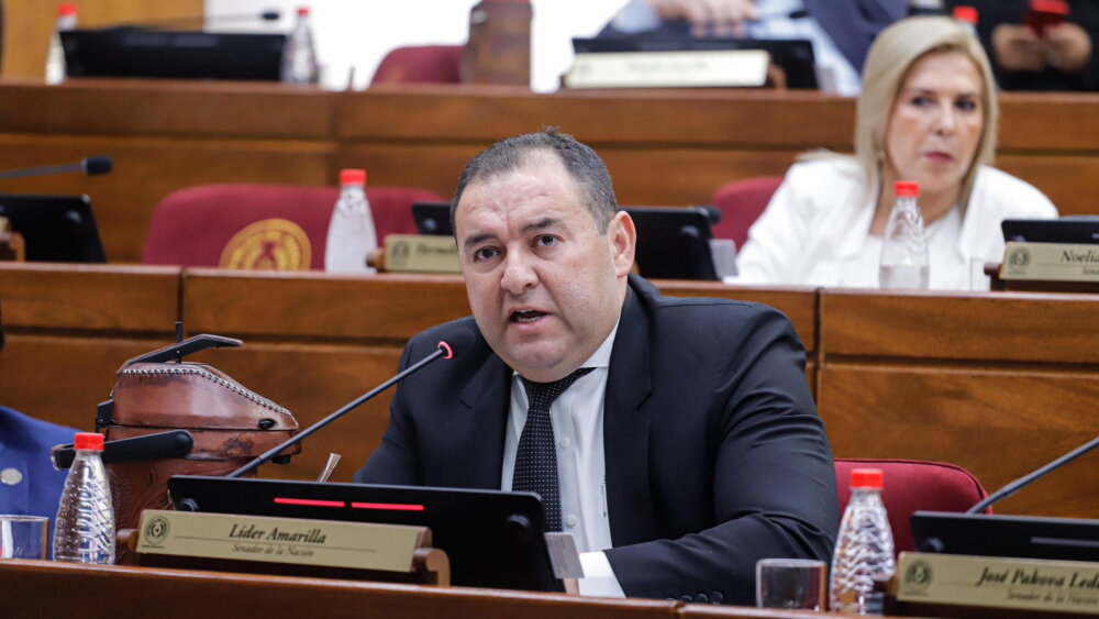 senador Líder Amarilla.jpeg