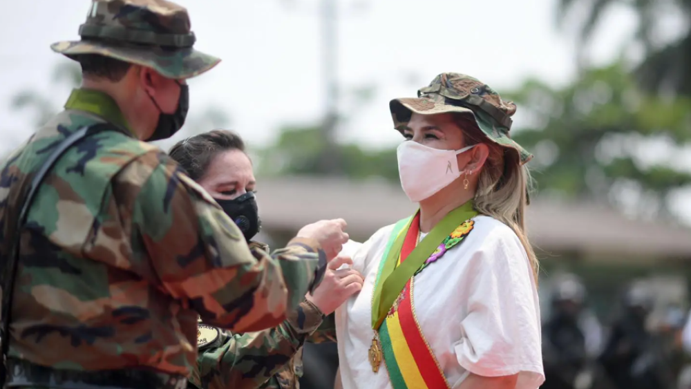 Captura de pantalla 2024-11-29 070446.png