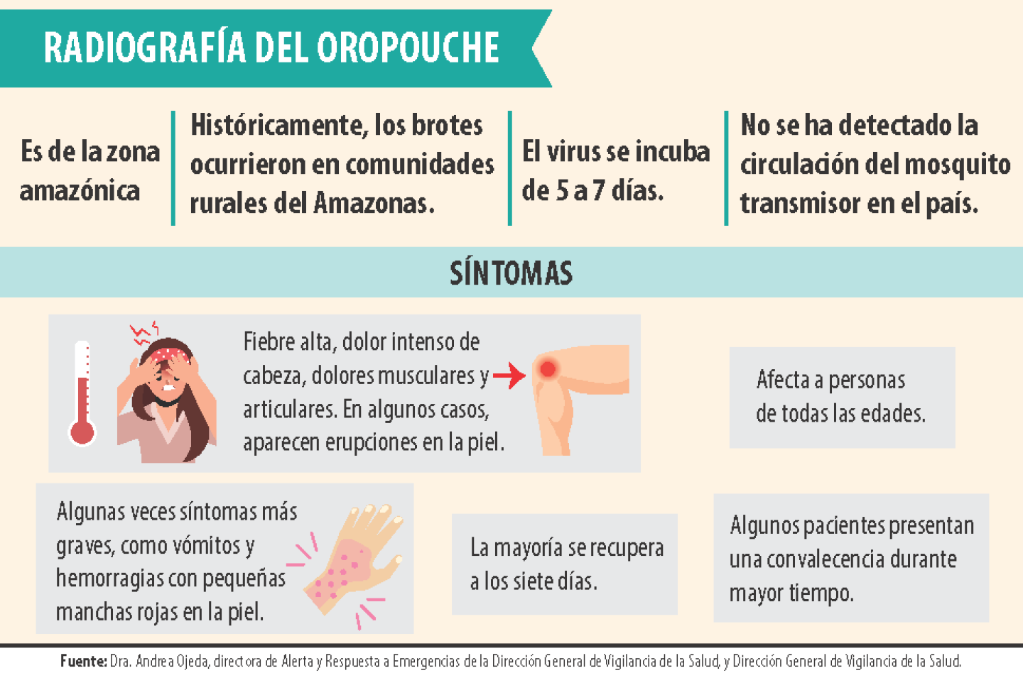 RADIOGRAFIA DEL OROPOUCHE.png