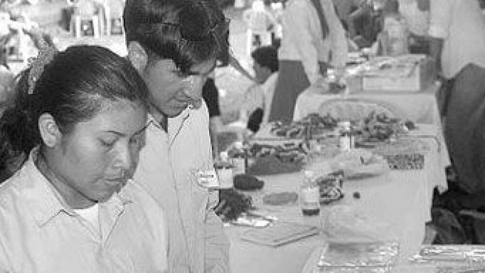 estudiantes indigenas exponen
