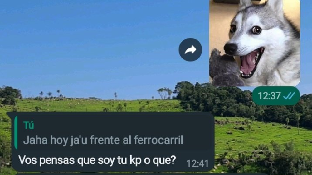 5317271-Libre-1710429187_embed