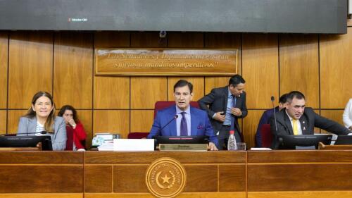 Comisión Bicameral.jpeg