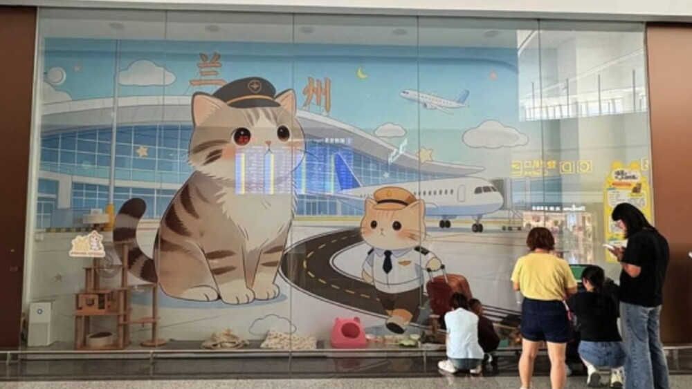 gatos aeropuerto.jpg