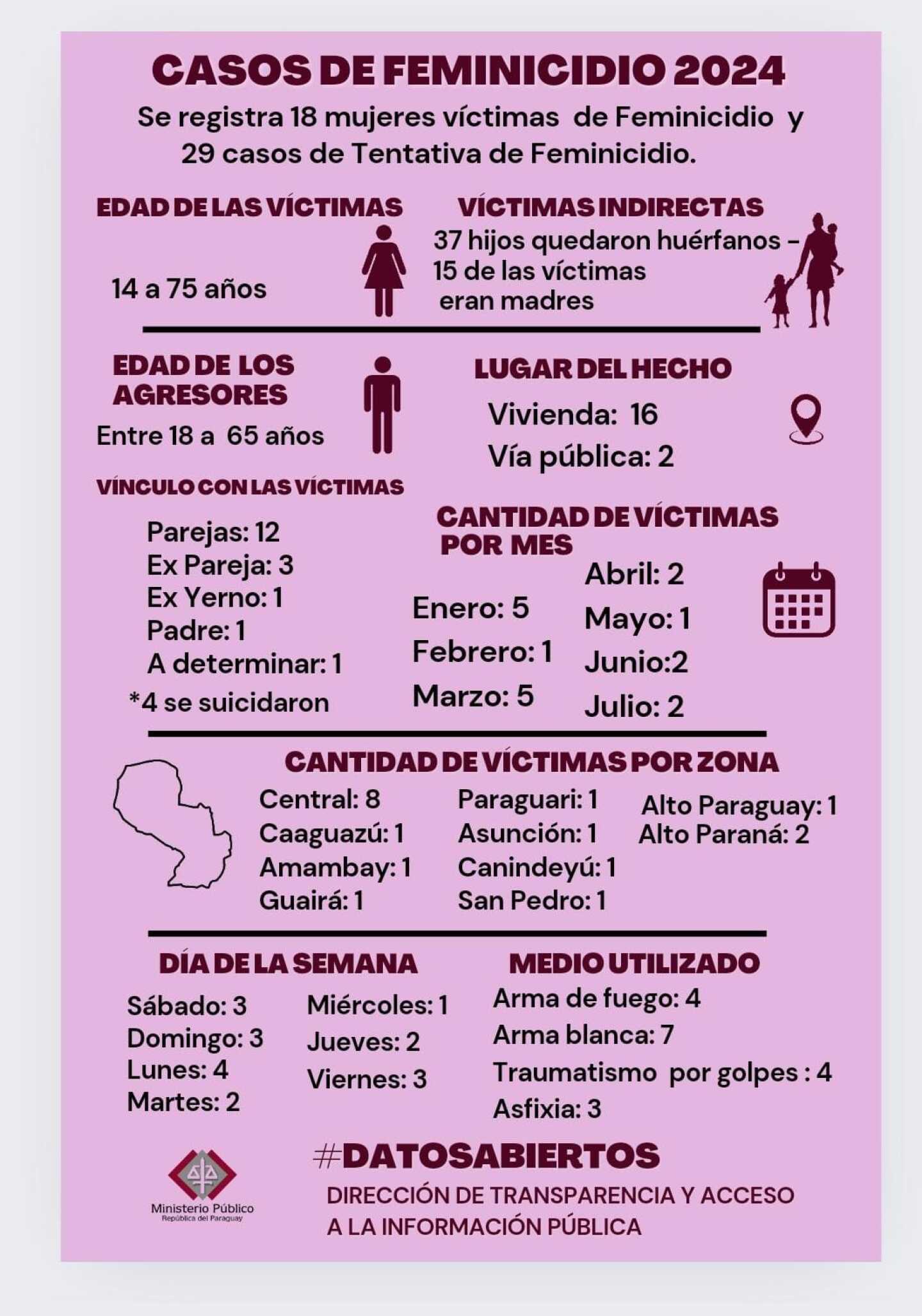 casos de feminicidio hasta julio.jpeg
