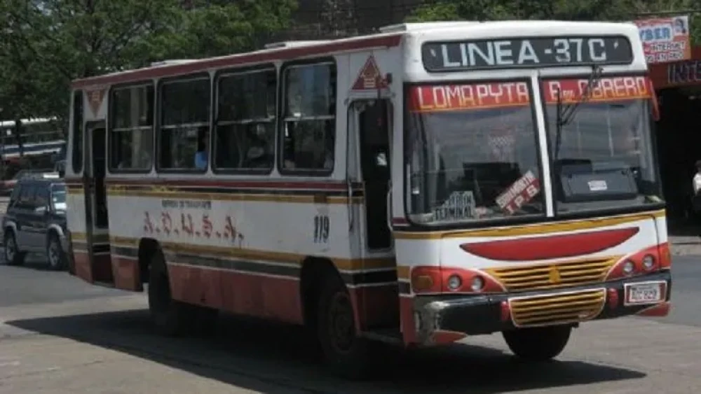 buses_asuncion.webp