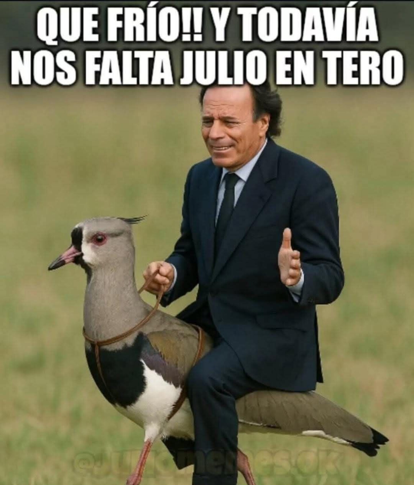 meme julio.jpg