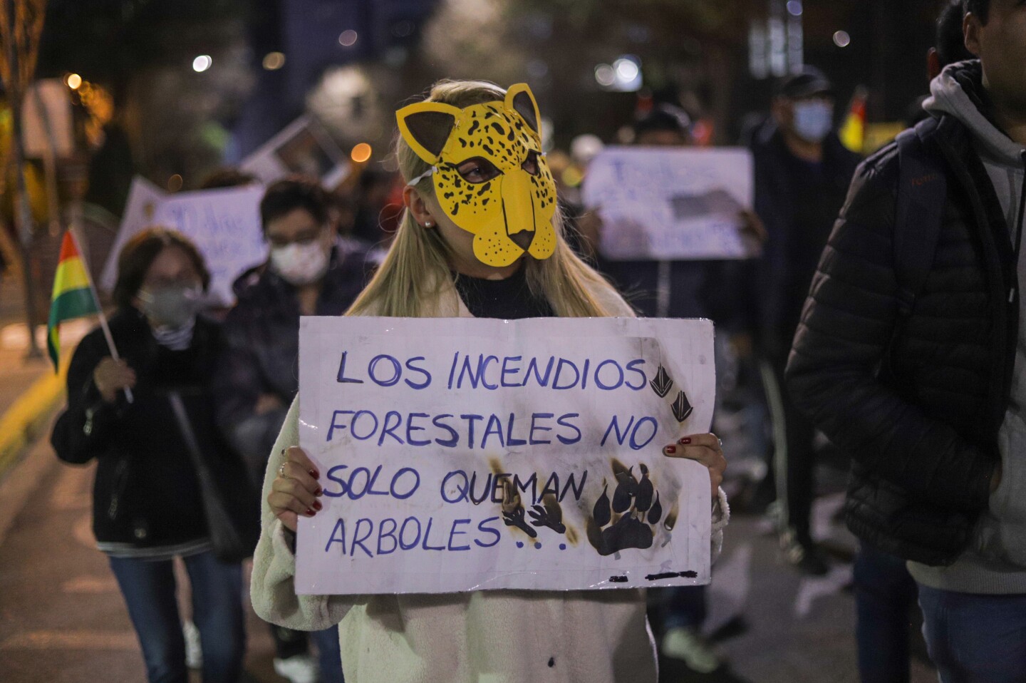 Artistas y activistas claman no más fuego ni leyes incendiarias en Bolivia