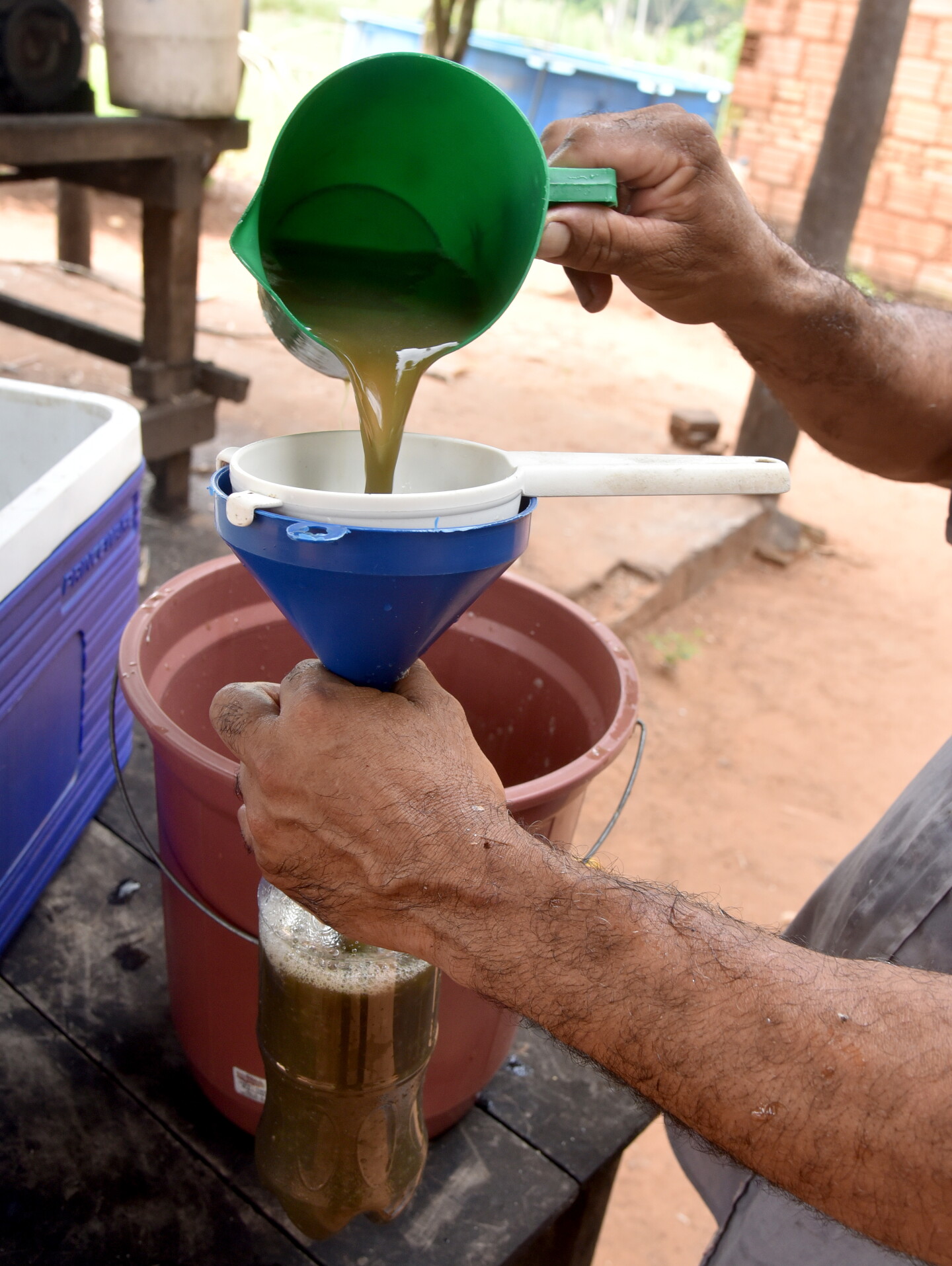 Mosto Ratal Mosto helado: Delicioso trago que refresca el ardiente verano paraguayo ...