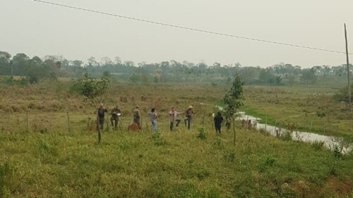 Hallazgo de un cuerpo.jpeg