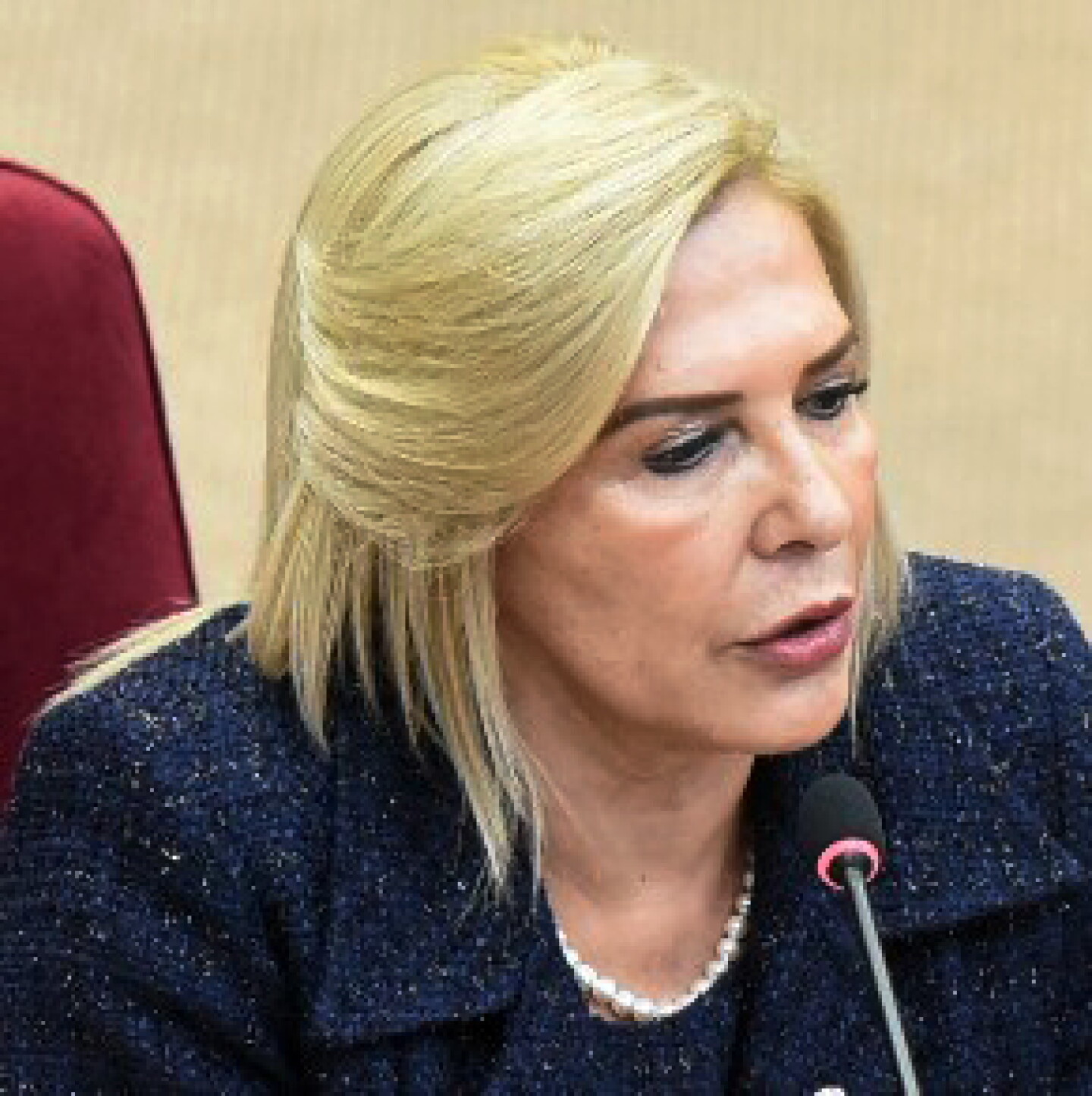 Hermelinda Alvarenga_4.jpg