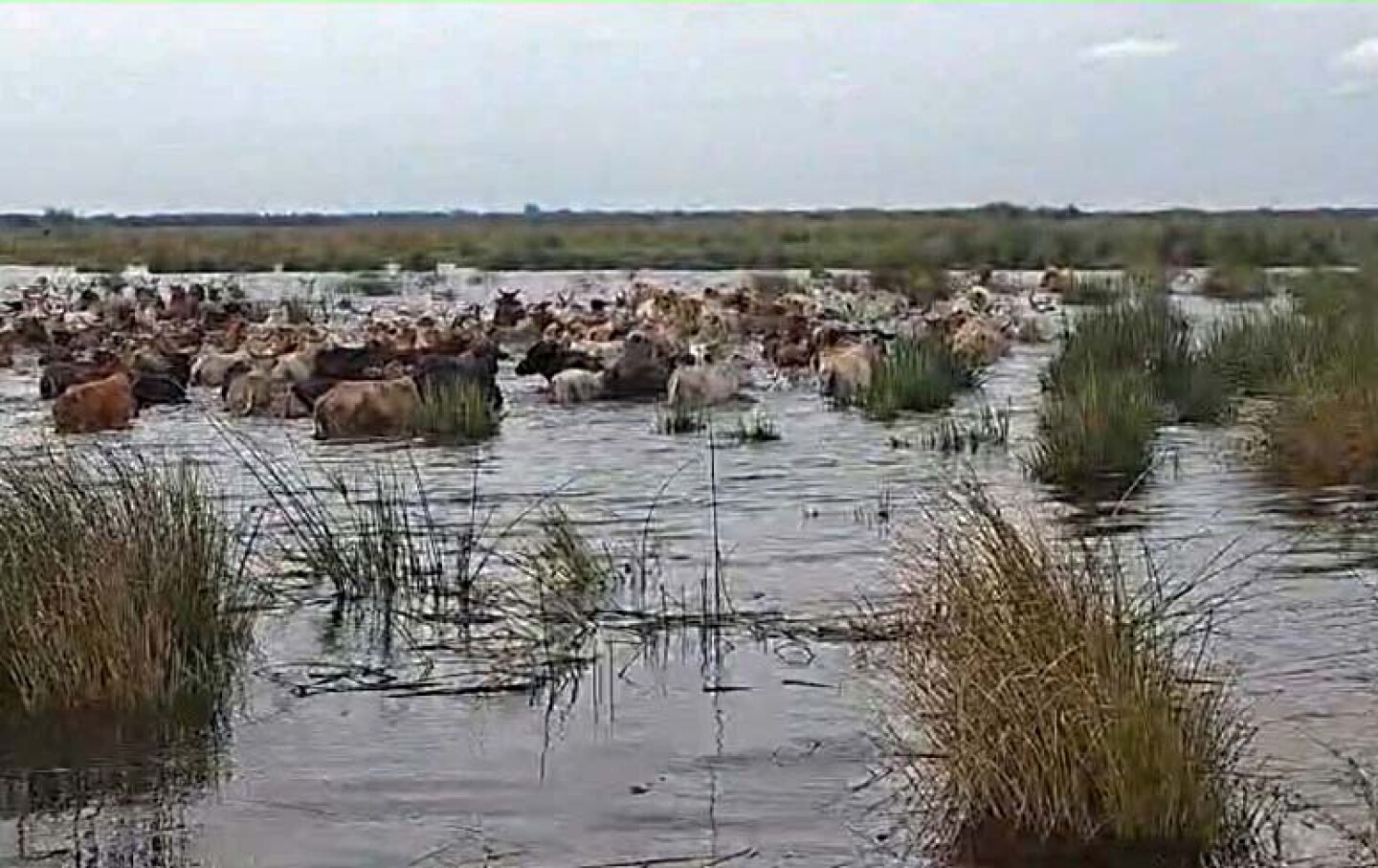 Temporal e inundación (4).jpg