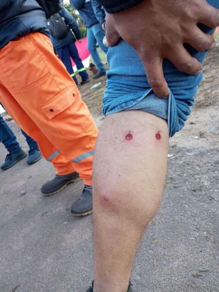 5338805-Libre-1485531474_embed