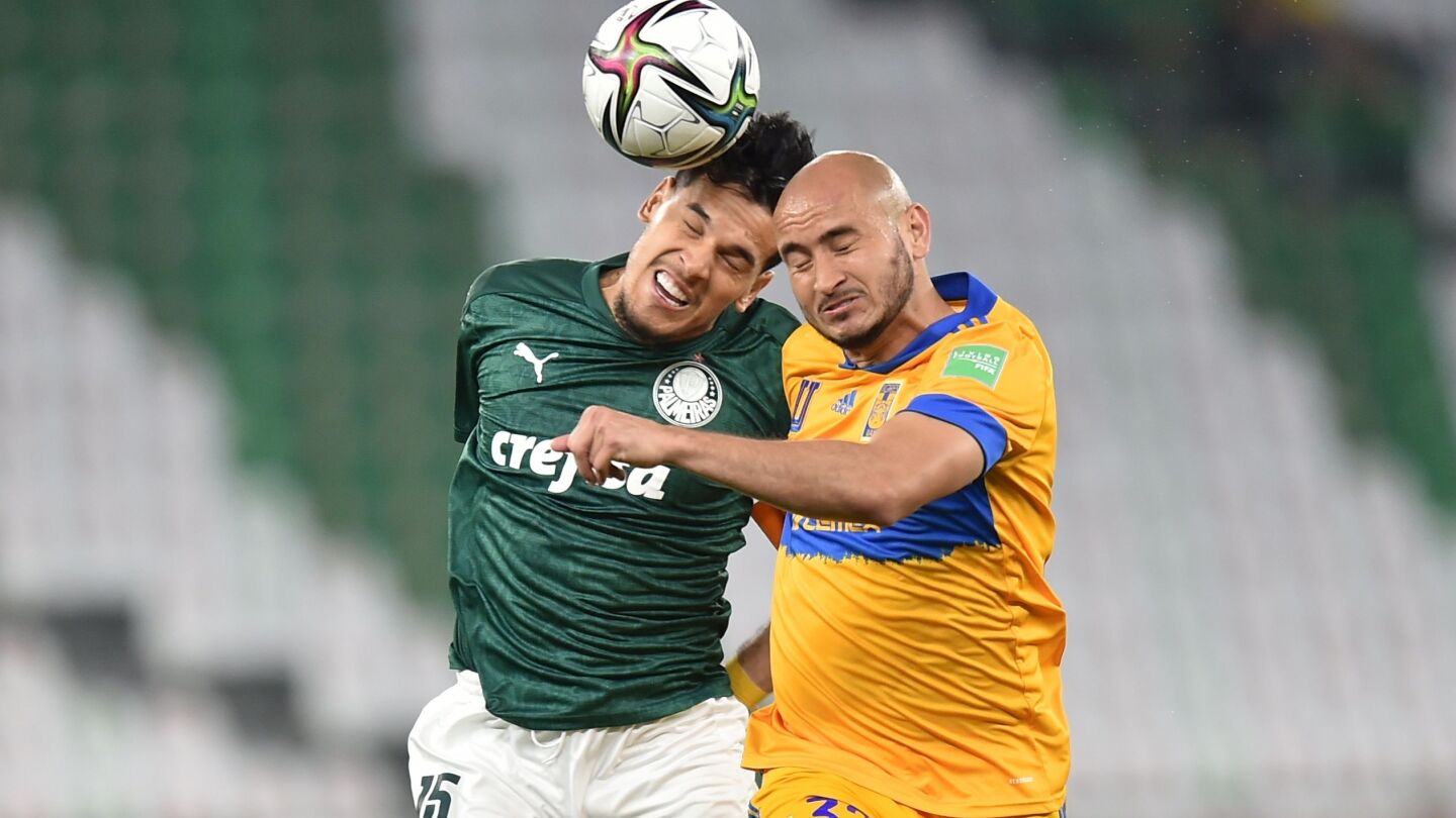 Tigres de carlos gonzález eliminó a palmeiras de gustavo gómez