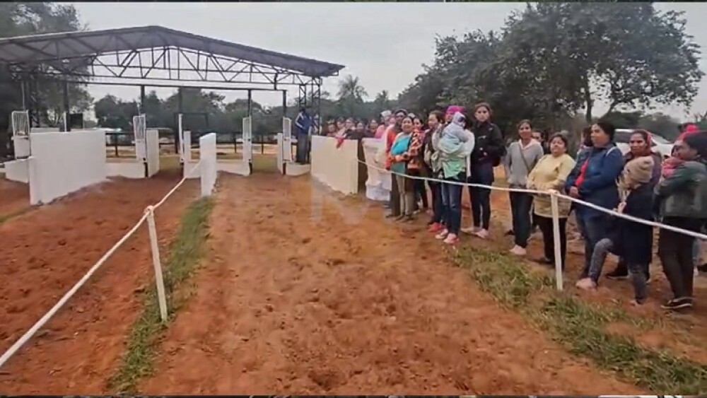 caballos.jpg
