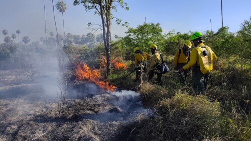 Incendios forestales en el Chaco, operativo de la SEN