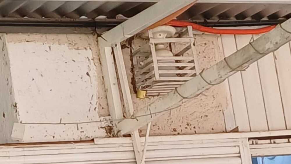 puso reja a su foco, en concepción.jpeg