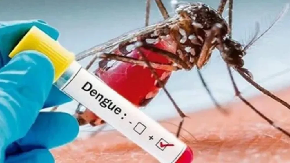 dengue.webp