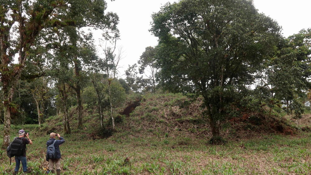 Descubierto el urbanismo agrario de baja densidad más antiguo y extenso de Amazonía