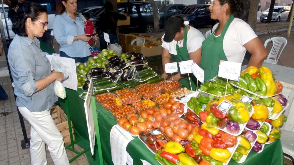 MAG apunta a recaudar Gs. 150.000 millones en 2026 con las Ferias de la Agricultura Familiar MAG apunta a recaudar Gs. 150.000 millones en 2026 con las Ferias de la Agricultura Familiar
