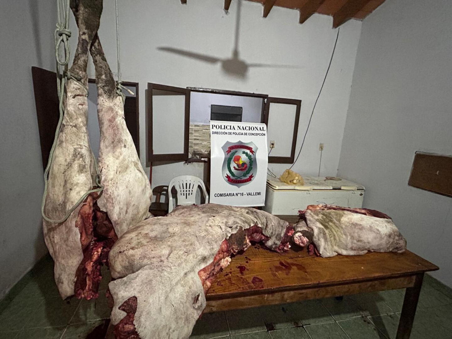 Animales faenados de la intendenta de San Lázaro.jpg