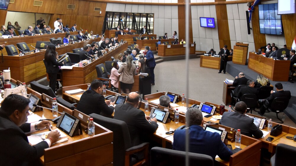 SESION CAMARA DE DIPUTADOS_5_46333237.jpg