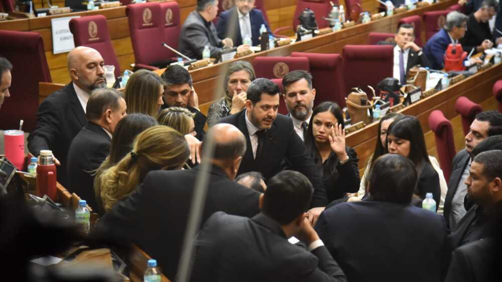 Bancada de Honor Colorado en Diputados