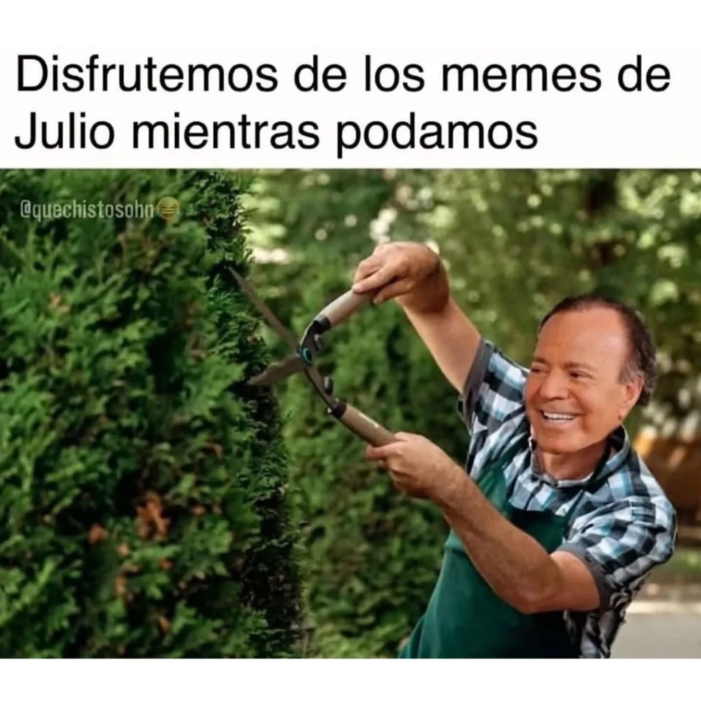 los memes.jpg