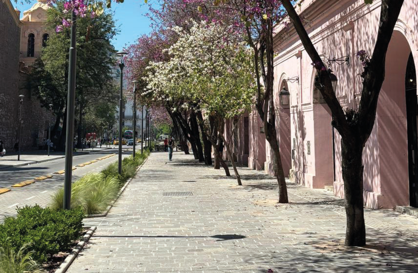 modelo calle peatonal asuncion vereda