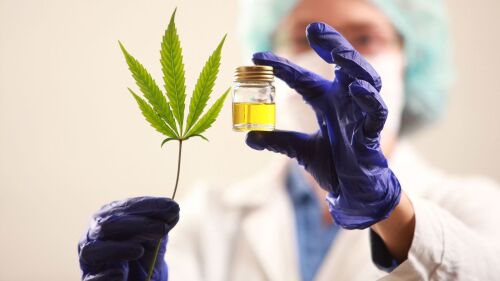 CANNABIS-MEDICINAL